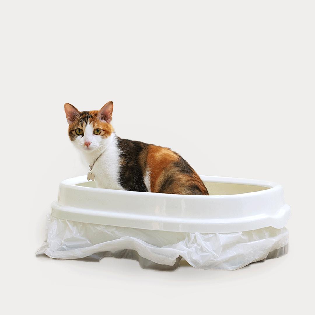 버디부 캣라이너, 고양이 화장실 라이너 전체갈이