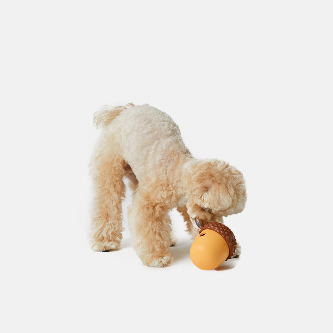 버디부 토리볼, 실리콘 후각자극 노즈워크볼 간식공 강아지 장난감